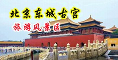操逼大全网中国北京-东城古宫旅游风景区